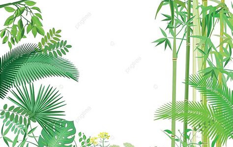 Pdf Download Tropical Deco Pdf Download BookBoon PDF