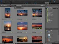 Adobe Photoshop Elements 10 Visual Search