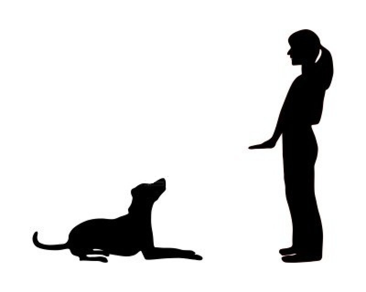 4468543-dog-training-obedience--command-sit-down.jpg