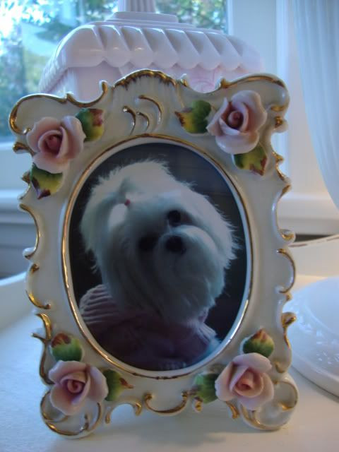 Sabrina Frame 1