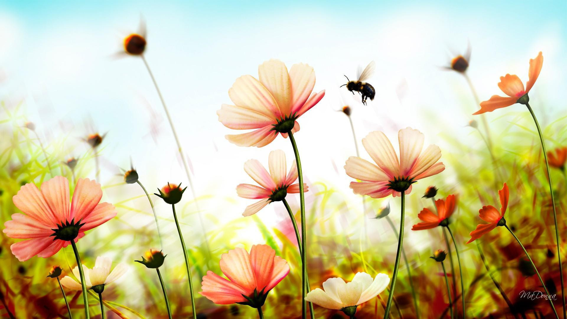 25+ Beautiful Summer Pictures