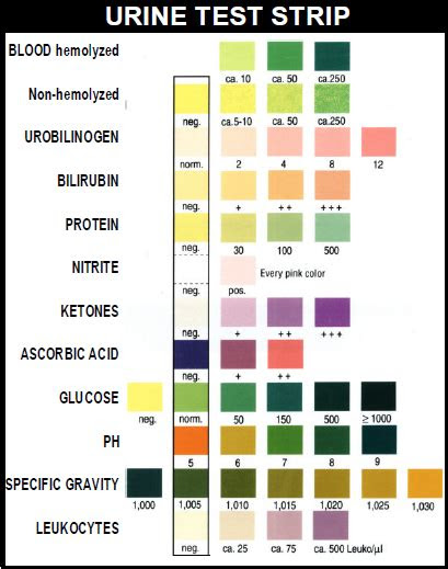 Webremove one strip from the bottle and check against the color blocks on the color chart. urine test strips results chart