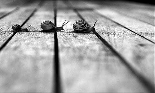 Stunning Examples of Black and White Photography