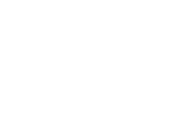 ライン レース素材専門サイト Da Lace ダ レース