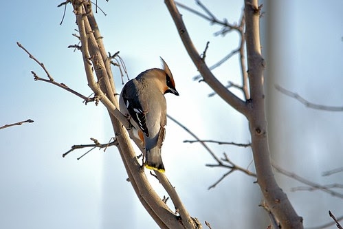 DSC_7171_edit by mdurocher51