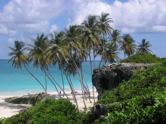 Best nature pictures