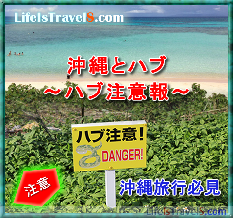 春だ 夏だ ハブだ Gwや夏休みに沖縄旅行の方へハブ注意報 Life Is Travels