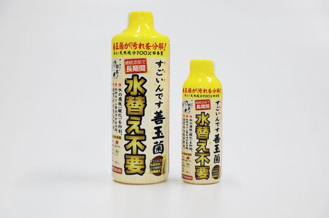 もらえる 春の新製品 便利アイテム3連発 Kotobukiの水温計 バックスクリーン すごいんですリニューアル キワメテ 水族館
