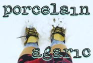 Grab button for Porcelain Agaric