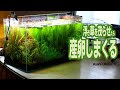 [新しいコレクション] 水槽 浮き草 345949-水槽 水草