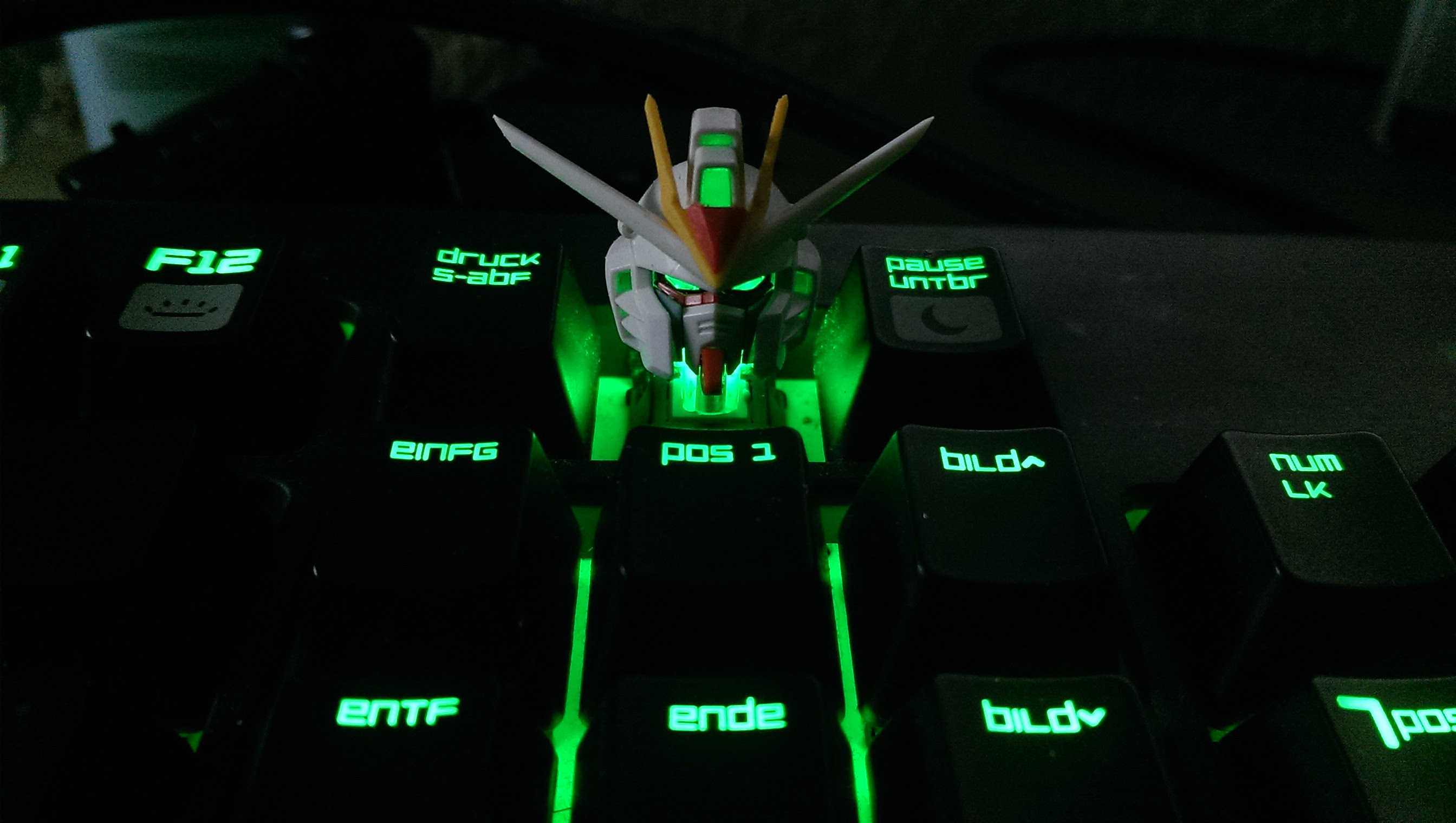 Any Gundam Enthusiatist