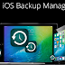 Imazing Download Windows 10 - Imazing Download 2021 Latest For Windows 10 8 7 : Download imazing 2 manage your iphone.