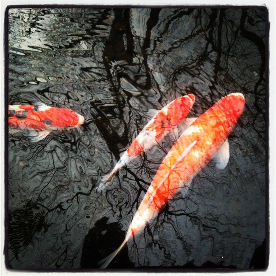 Top 10 tips for studying Japanese - Learn Japanese Pod