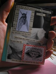 Little Book
