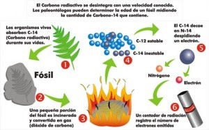 Datación por radiocarbono