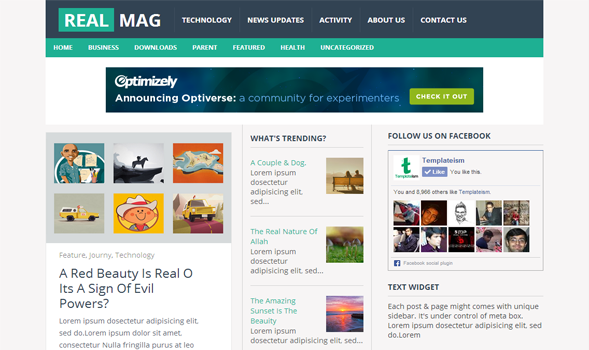 RealMag Blogger Template