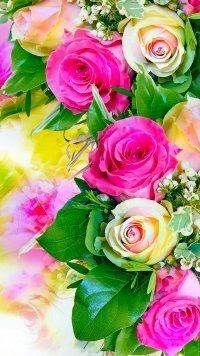 Mobile Wallpaper Hd Nature Flower Rose
