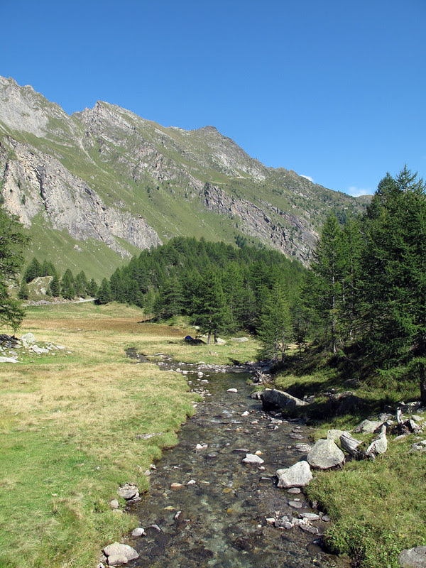 Alpe