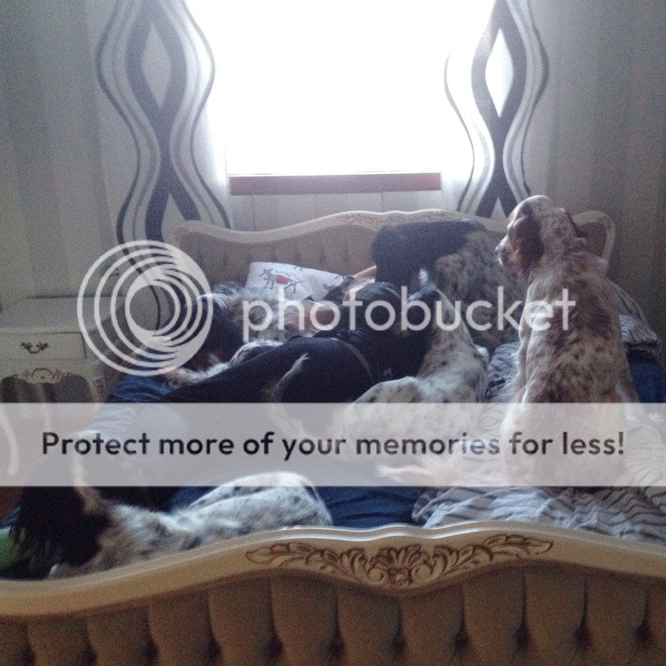  photo IMG-20150207-WA0010_zpsdp6l7ayp.jpg