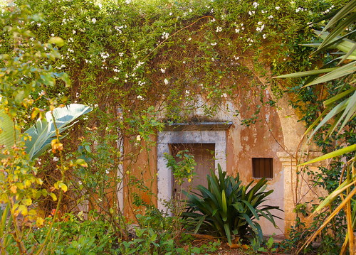 DSC09107 - Version 2