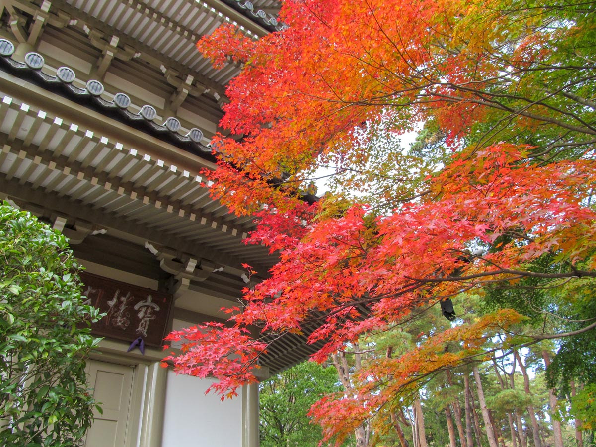 Report 宮城県仙台市の輪王寺で紅葉を見てきました Otsnews お寺さんニュース