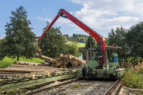 saegewerk und holzhandlung holzbau schauerte