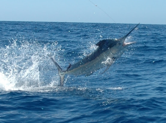 PokerStars Caribbean Adventure