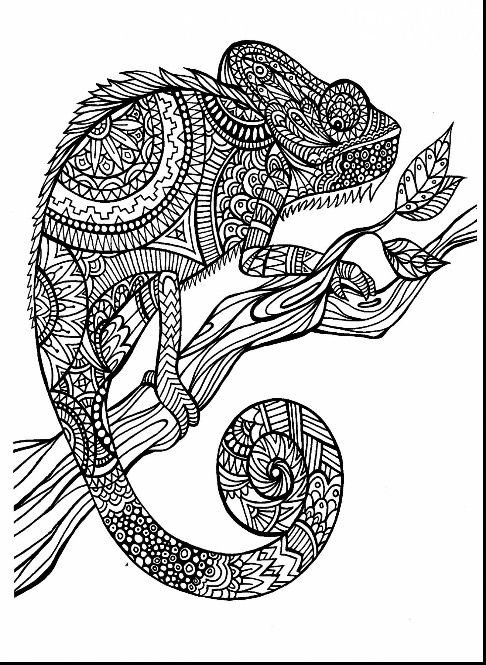 Complex Animal Coloring Pages at GetColorings.com | Free ...
