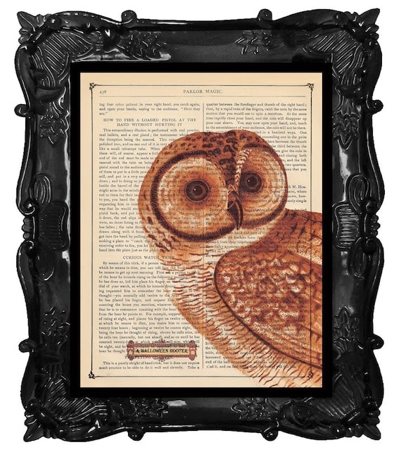 OUR ORIGINAL DESIGN AND CONCEPT FREE SHIPPING WORLDWIDE MOD ORANGE OWL PRINT WHOOOS THERE on an Antique 1883 Book Page