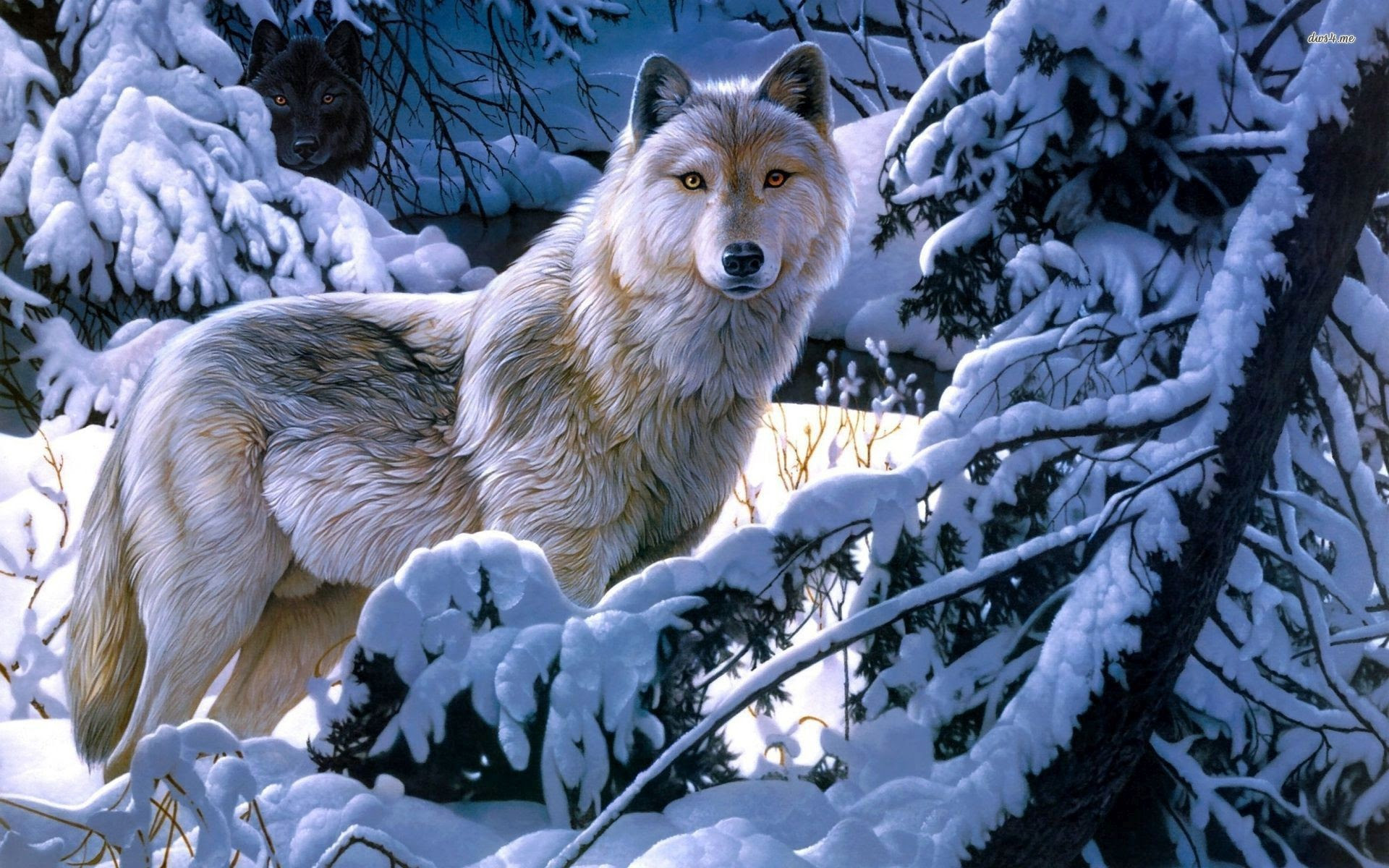 Cool Anime Wolf Wallpapers (56+ images)