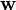 \mathbf{w}