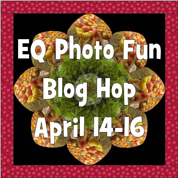 http://funthreads.blogspot.com/2014/02/eq-photo-fun-blog-hop-is-coming.html