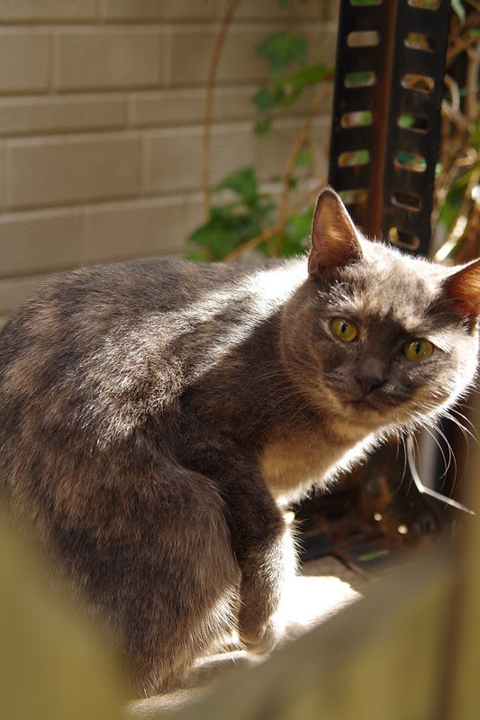IMGP2837.JPG