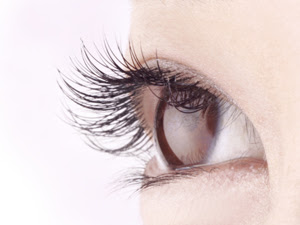 まつげエクステ専門店 プレミアムラッシュ渋谷店 京王電鉄井の頭線渋谷駅のまつげエクステサロン アイビューティー