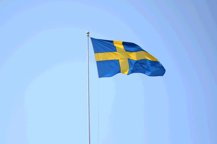 Den Svenska Nationaldagen International Friendship Association Ifa