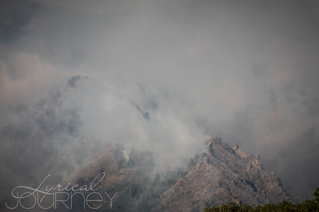 Alpine Quail Fire (11 of 33)