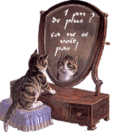 Index Of Forum