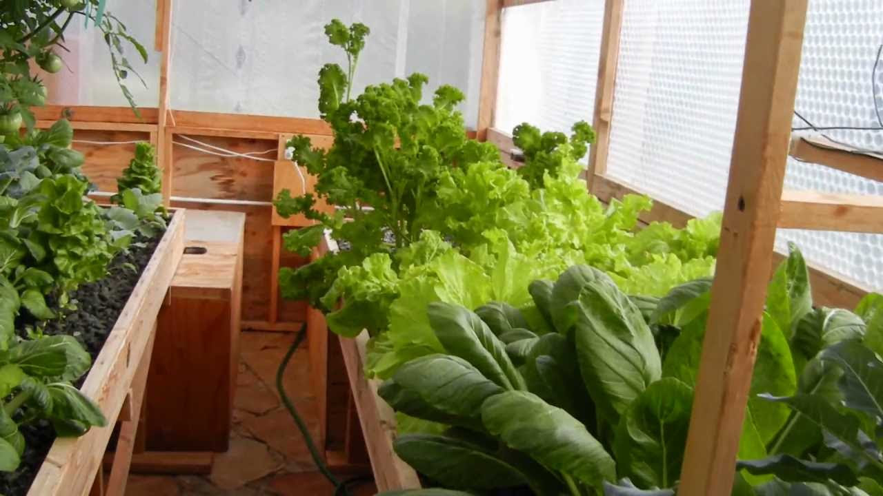 Aquaponics from Portable Farms® Aquaponics Systems