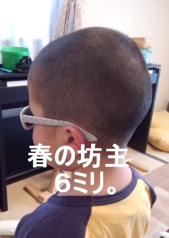 最も選択された 6 ミリ 坊主 画像 公開画像コレクション