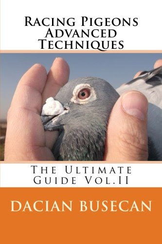 Racing Pigeons Advanced Techniques: The Ultimate Guide Vol. llBy Dacian Busecan