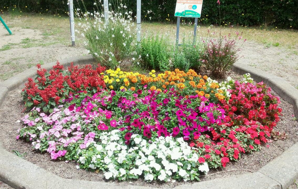 公園花壇 あばう庭