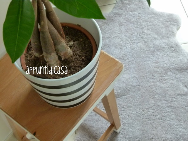 DIY stool&jar