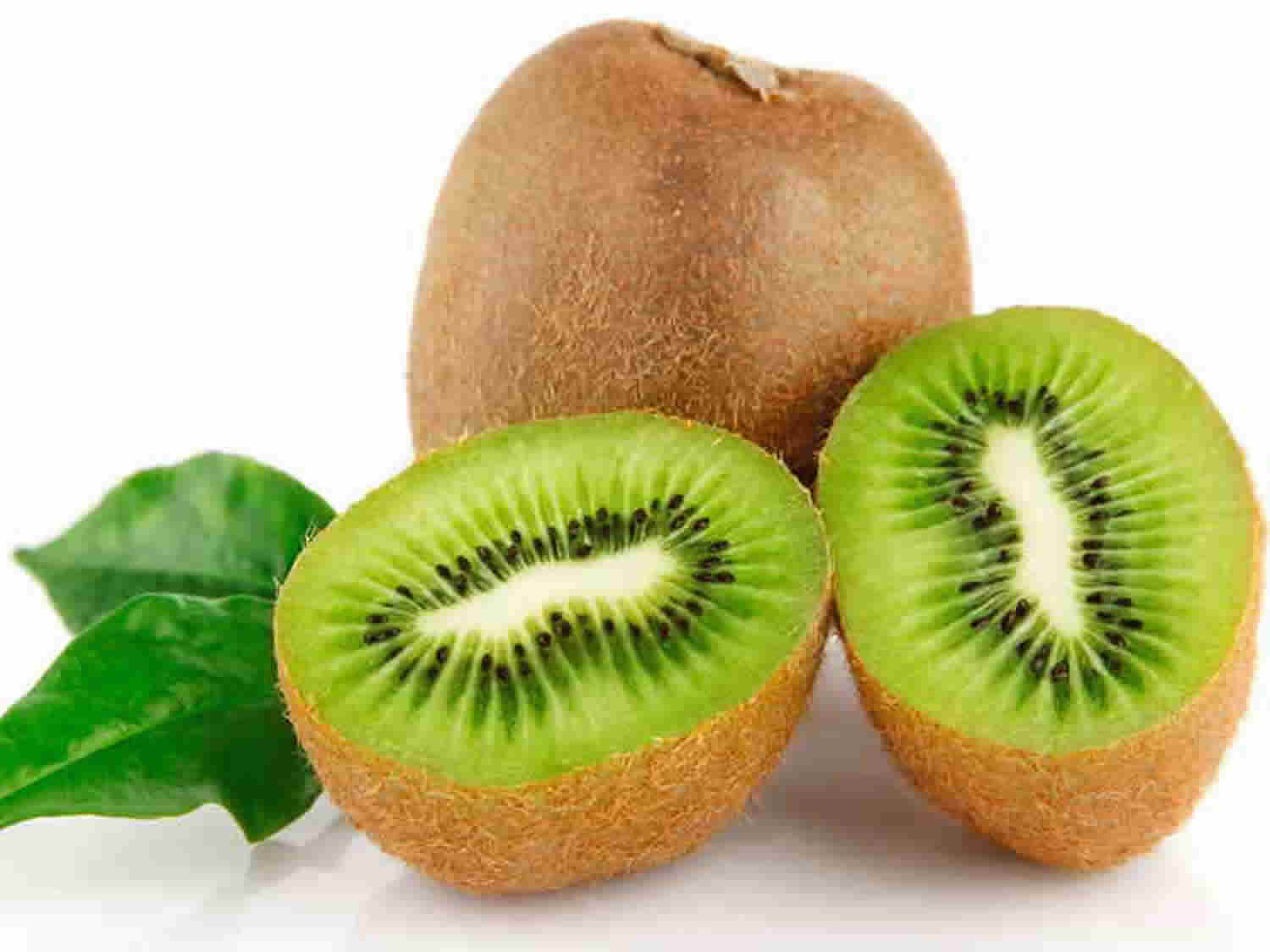 Best Benefits of