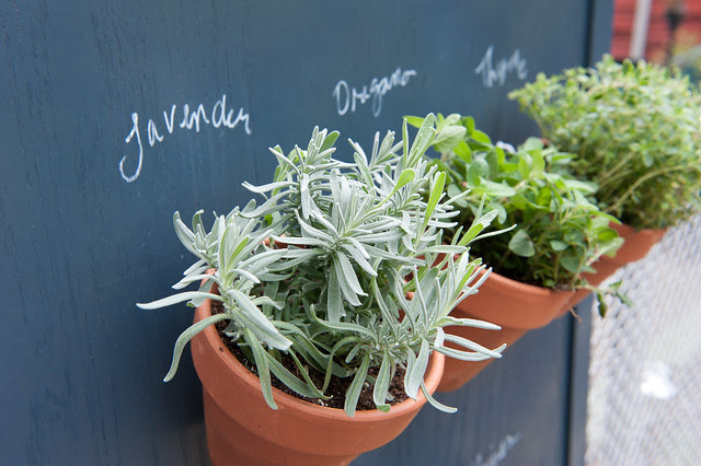 VerticalHerbGarden (25 of 28)