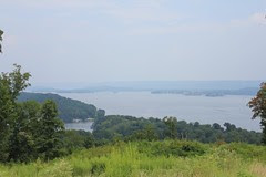IMG_6113