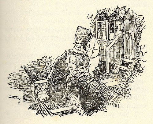 The Wind in the Willows 003