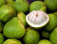 43+ Gambar Buah Jeruk Besar, Penting!