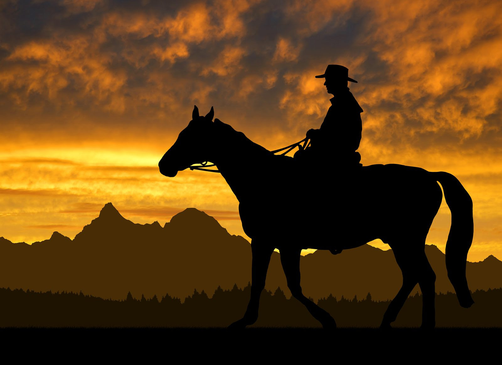 The Revival of the Western: Two Novels of Note | Meridian ...