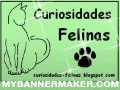 Curiosidades Felinas