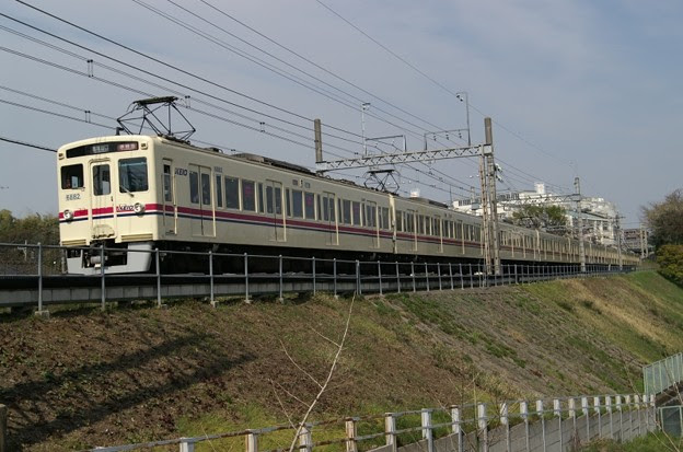 堂々と進む6030系準特急 写真共有サイト フォト蔵